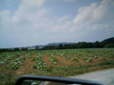 un aper�u du mont des cats